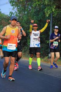 BIB: 4212, 2178
                            <button type="button" onclick="openModal(8364061)" class="btn btn-primary btn-sm float-right btn-popup" data-toggle="modal" data-target=".modal-high-quality">
                        <i class="fas fa-shopping-cart"></i> Add to Cart
                    </button>
                                            <button type="button" onclick="isThisMe(8364061, true)" class="btn btn-success btn-sm float-right btn-popup btn-isme hidden" data-toggle="tooltip" data-placement="bottom" title="นี่คือรูปของคุณใช่ไหม คลิกที่นี่เพื่อเอาเข้าอัลบั้ม">
                        <i class="fas fa-plus"></i> Add to album
                    </button>
                    <button type="button" onclick="isThisMe(8364061, false)" class="btn btn-warning btn-sm float-right btn-popup btn-isnotme hidden">
                        <i class="fas fa-ban"></i> Remove from album
                    </button>